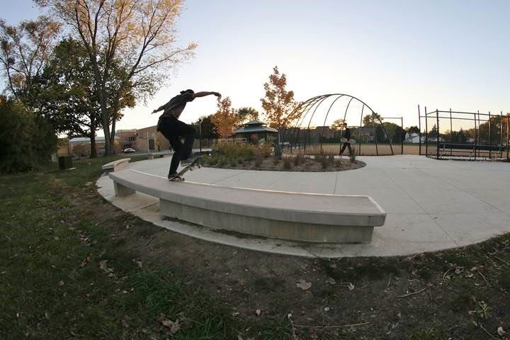 Peacock Skate Pieces 3